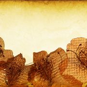 Collage Paper with Vintage Pressed Flowers