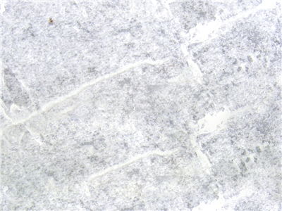 Paper Pulp Parchment Texture