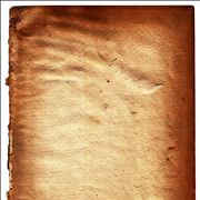 Parchment Texture