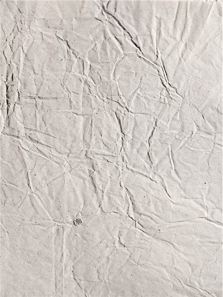 Sheets of Wrinkled Paper
