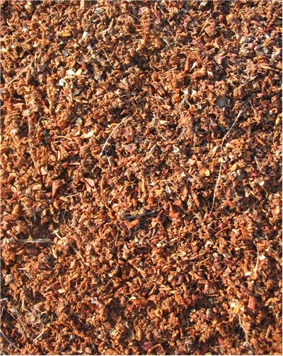 Wood Pulp for Making Paper