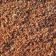 Wood Pulp for Making Paper